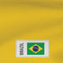 Brazil Soccer Flag Nintendo 2DS XL (2017) Skin